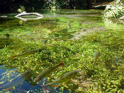 Governo lança 12ª edição do Festival de Inverno de Bonito