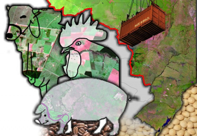 Agropecuária é destaque no crescimento do PIB no segundo trimestre Agropecuária é destaque no crescimento do PIB no segundo trimestre