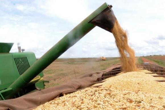 Brasil deve virar maior produtor mundial de soja no mundo em 2018 Projeção representa um aumento de 2,54% sobre o produzido na safra anterior