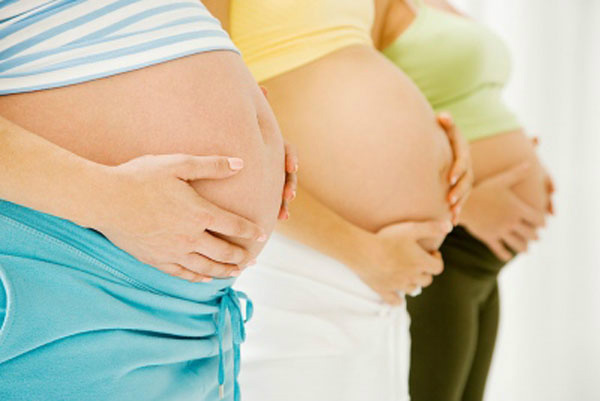 Governo federal vai distribuir repelentes para gestantes Foto: Divulgação