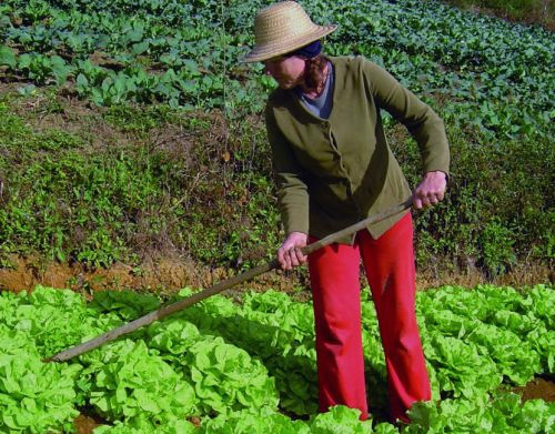 Comitê de políticas para as mulheres será instalado
