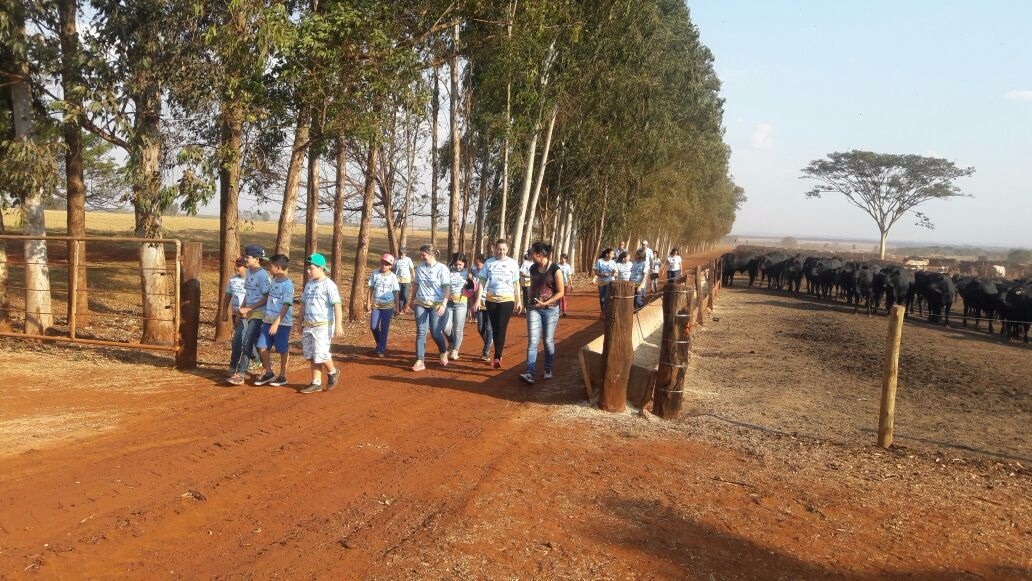 Agrinho MS: iniciativa promove saber no campo e mudança de hábitos Em Caarapó, projeto aproxima estudantes ao meio rural