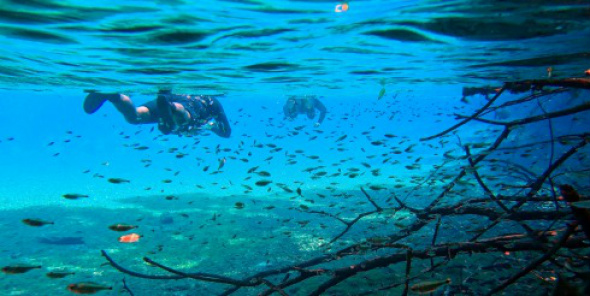 Bonito/MS / Foto: Divulgação/Secretaria do Turismo de Bonito