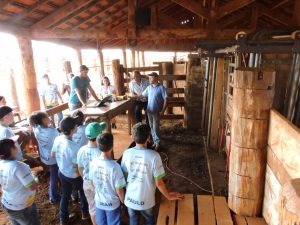 Agrinho MS: iniciativa promove saber no campo e mudança de hábitos Agrinho MS: iniciativa promove saber no campo e mudança de hábitos