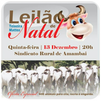 Teixeira Mattos realiza Leilão de Natal nesta quinta-feira (13) em Amambai Teixeira Mattos realiza Leilão de Natal nesta quinta-feira (13) em Amambai