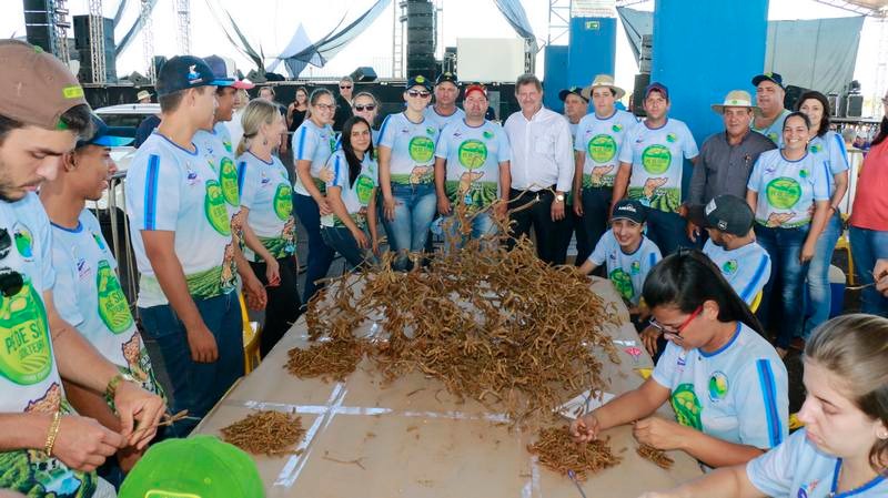 Agenda de eventos para Amambai e região