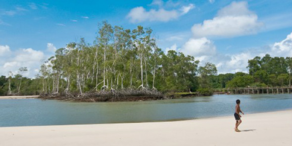 Ilha do Marajó / Foto: Divulgação/Ministério do Turismo