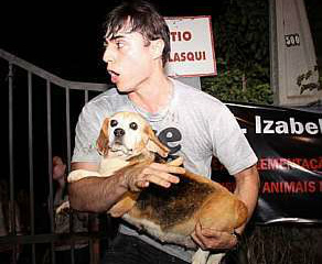 Manifestante resgata beagle no dia 18