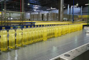 De acordo com Aprosoja/MS, uma média de 90% dos grãos de soja do Estado são escoados pelas rodovias, e 95% desses grãos são considerados transgênicos