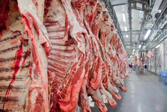 Brasil precisa melhorar qualidade da carne para não perder mercado O Brasil tem hoje 215 milhões de cabeças de gado e produz 9,5 milhões de toneladas de carne bovina -Divulgação/Abiec