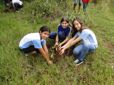 Prefeitura realizou plantio de mudas no Prade da Vila Indiana Alunas de uma das turmas do ensino fundamental da Escola Julio Manvailer. As turmas foram convidadas para auxiliar no plantio das mudas.