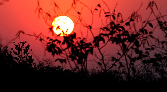 Quinta-feira terá calor em alta e umidade do ar em baixa no MS Foto: Chico Ribeiro