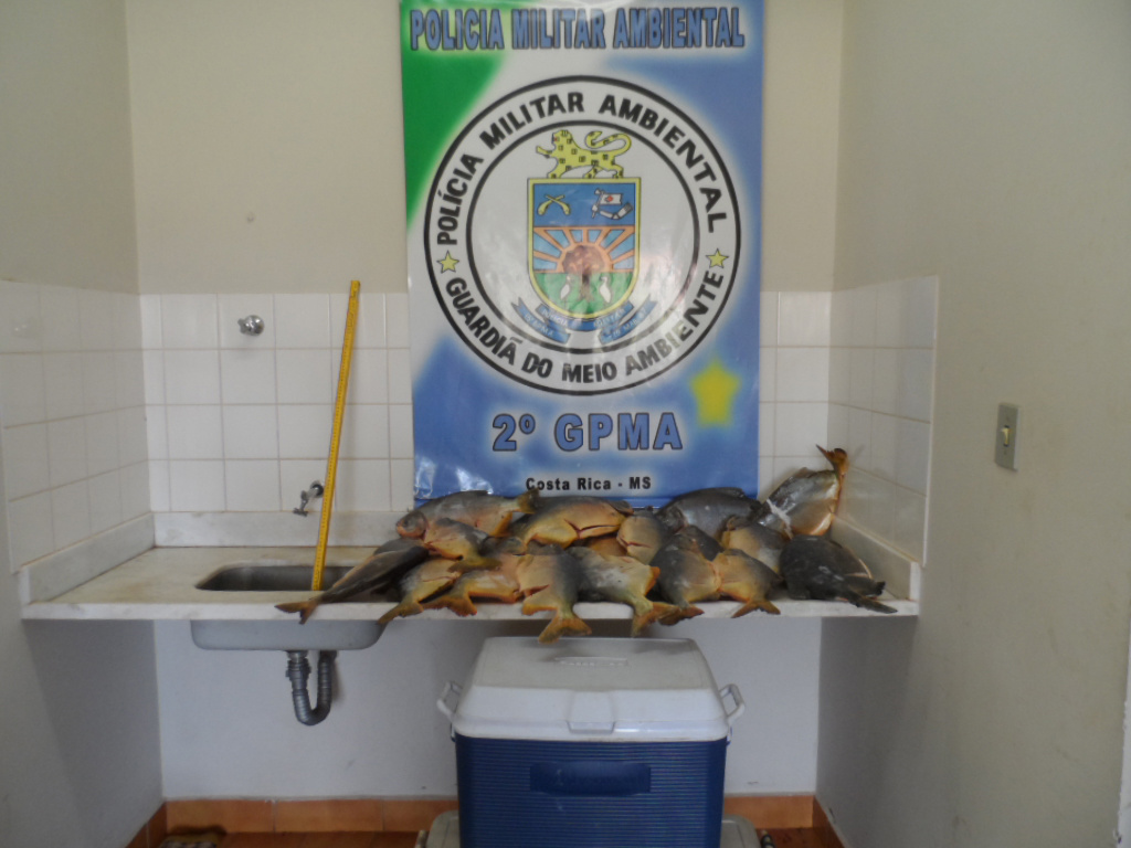 PMA autua 29, apreende 351kg de pescado e aplica multas em 10 dias de operação
