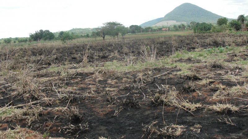 PMA autua assentada em R$ 5 mil por provocar incêndio em lotes de vizinhos