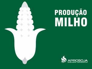 Produção de milho está estimada em 97 milhões de toneladas Produção de milho está estimada em 97 milhões de toneladas