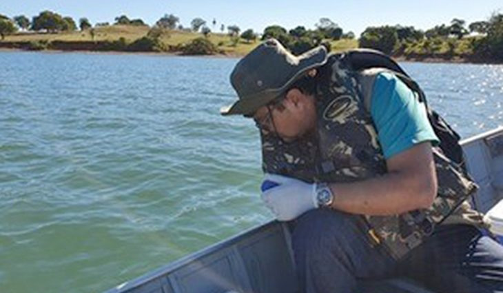 Peixes mortos no Rio Paraná fazem parte do descarte seletivo dos pescadores Foto: Divulgação