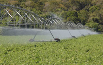 Políticas para agricultura no Brasil são debatidas em evento