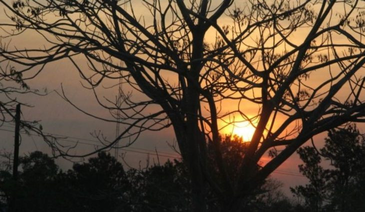 Foto: Arquivo