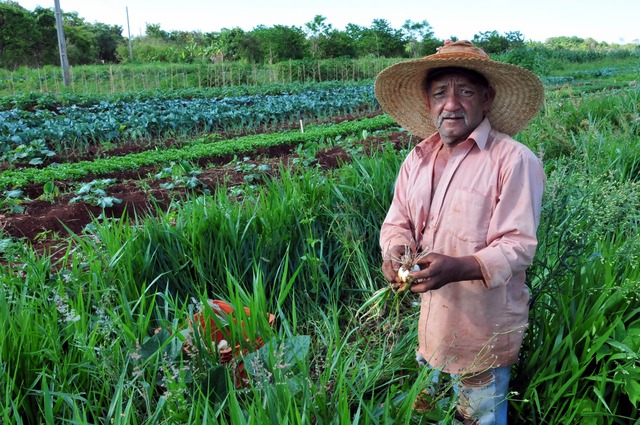 Edital oferece R$ 25 mi para agroecologia Foto: Divulgação