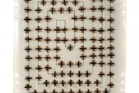 A exposição Louça Fina, de Fernando Ribeiro, apresenta 80 trabalhos inéditos, entre pinturas e colagens