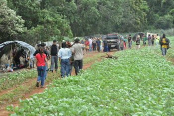 Dilma quer rapidez em “pacificação” no MS e governo pede ajuda à igreja