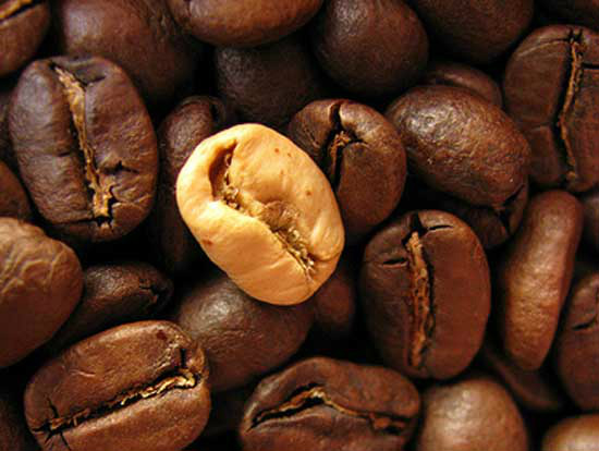 Foto: jphilipg / Creative Commons