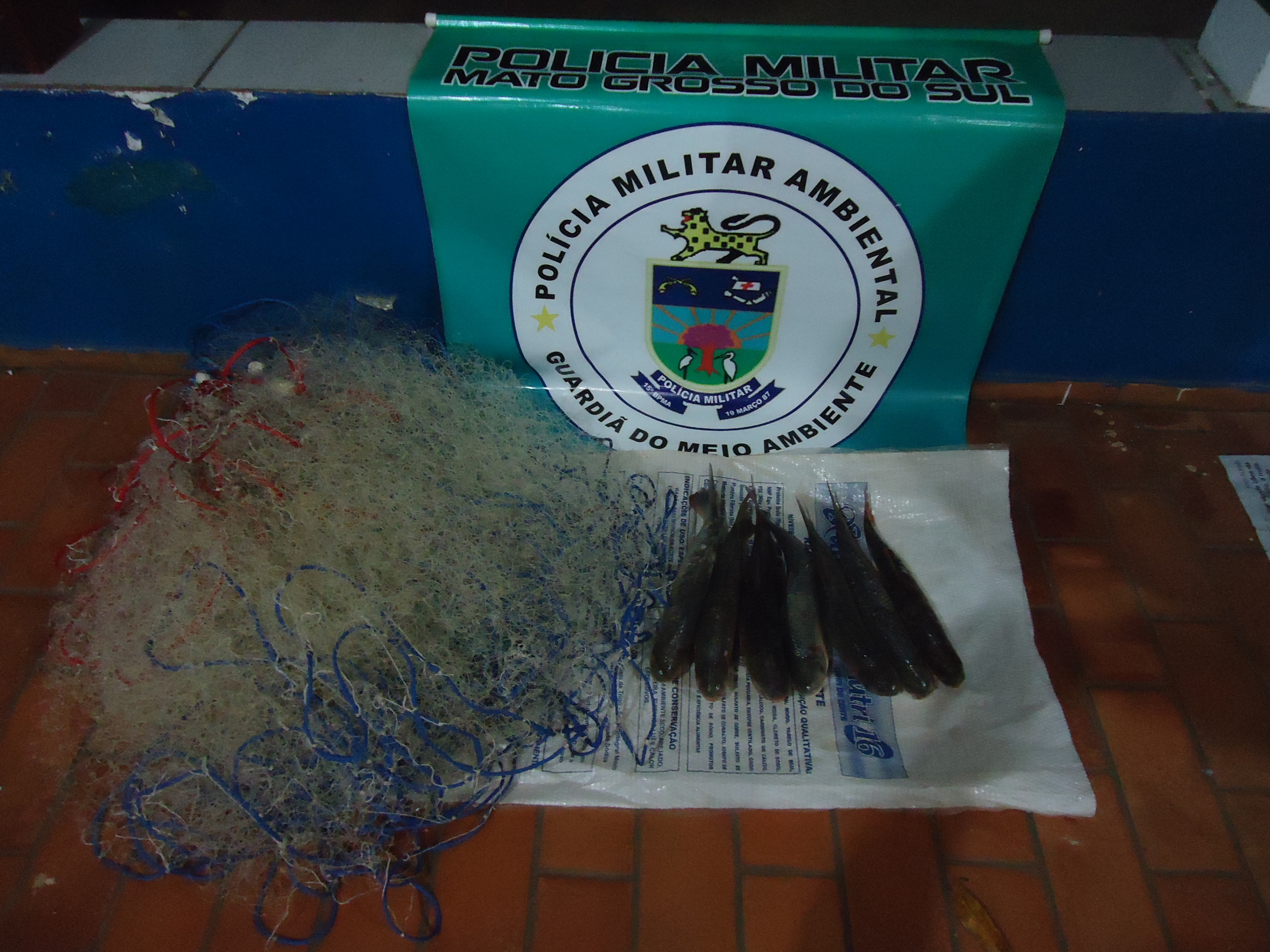 PMA surpreende pescadores profissionais pescando com rede