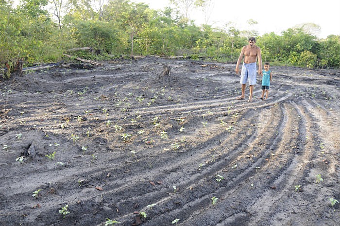 Fazendeiros são multados por pulverização de agrotóxicos que atingiu criança Em registro de 2017, Vicente de Paulo apresenta roça de feijão que teria sido destruída por tratores da família Introvini / Geraldo Iensen