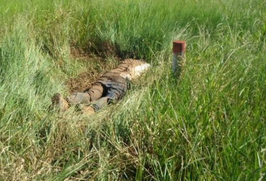 O corpo de Edson Colman foi encontrado na rodovia 485, trecho que liga Amambai a Aral Moreira / Foto: Moreira Produções