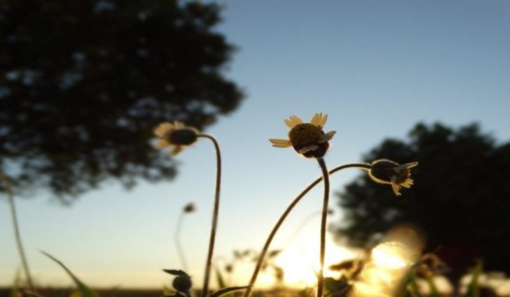 Quinta-feira de refresco nas temperaturas em grande parte de Mato Grosso do Sul Foto: Monica Alves