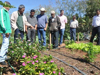 Três Lagoas receberá ciclo de palestras para produtor rural