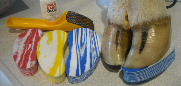 Empresa Neozelandesa cria sandália para vacas