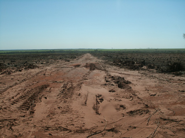 PMA autua paranaense por incêndio em sua propriedade em Nova Andradina