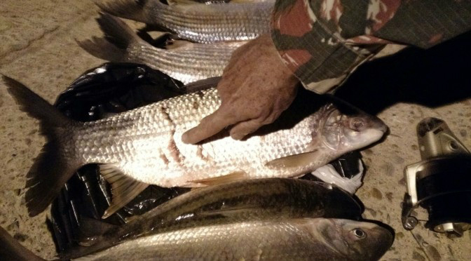 PMA prende vigilante por pescar em piracema com tarrafa em local proibido