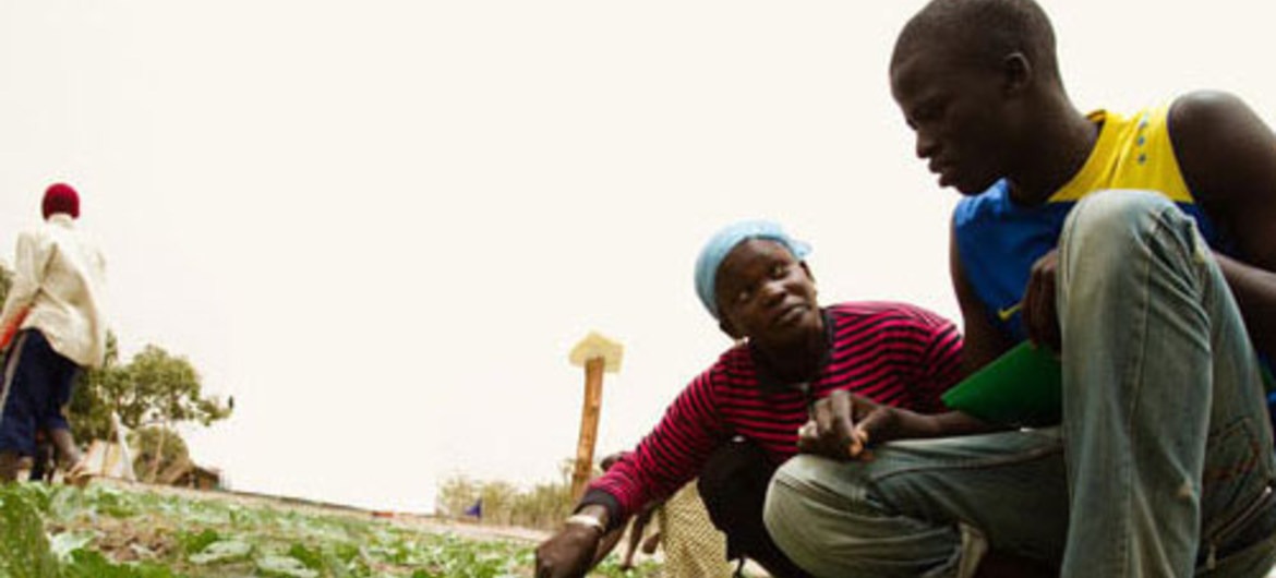 Angola e Fida firmam acordo para aumentar segurança alimentar A ideia é aumentar a segurança alimentar de 8 mil famílias de zonas rurais de Angola.