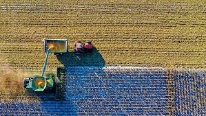 Assembleia ambiental da ONU discute produção e consumo sustentáveis