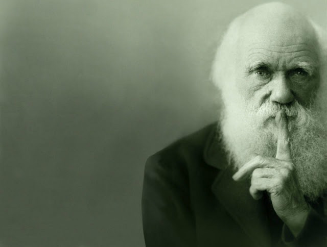 12 de fevereiro - Dia de Darwin