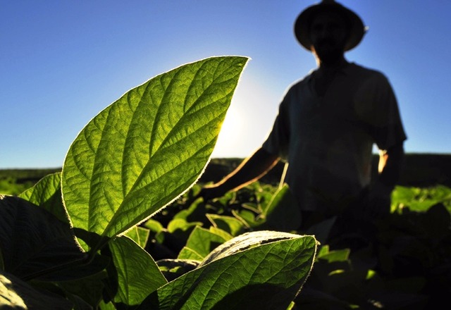 6 de Novembro - Dia da Extensão Rural no Brasil Foto: Divulgação