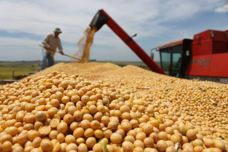 Exportação de soja em grãos bate recorde em fevereiro Foto: Divulgação