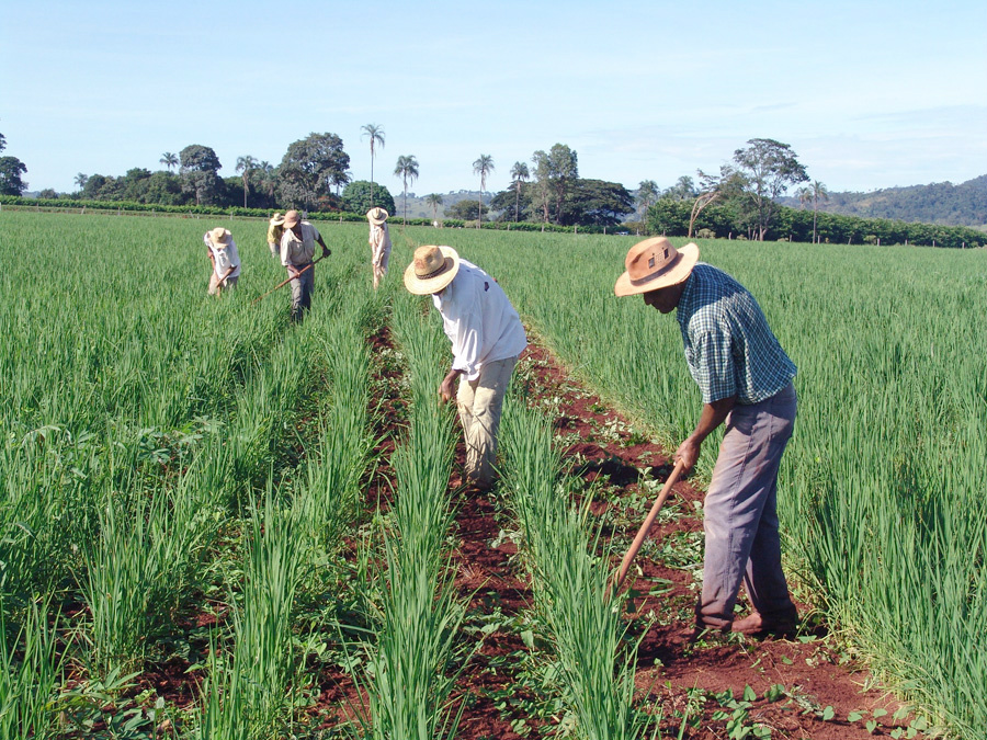 Governo deve apresentar novo programa de reforma agrária em julho