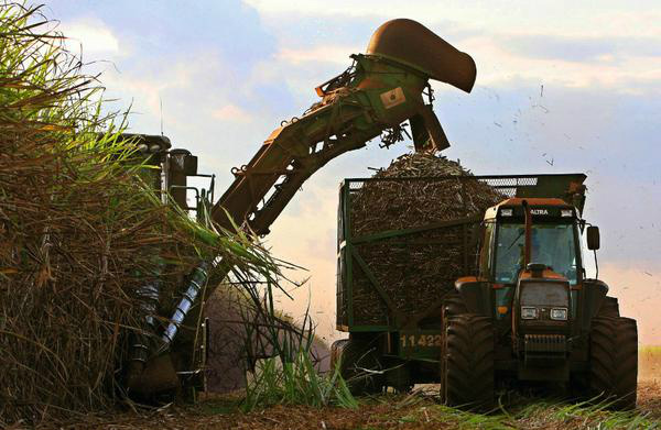 Produção de etanol em usinas é a maior em sete anos
