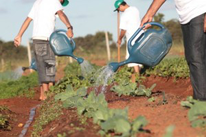 Pequenos agricultores são protagonistas na redução do carbono