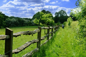 Decisão do STF pode aumentar demora nas demarcações do MS