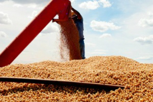 Exportações do Centro-Oeste cresceram 20% em março