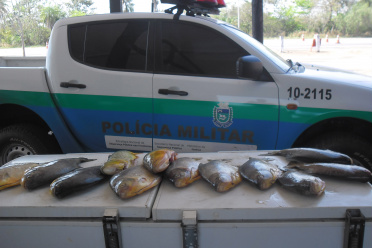 PMA prende quatro turistas paulistas com 186 kg de pescado ilegal