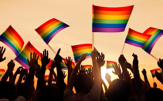 17 de Maio - Dia Internacional Contra a Homofobia Foto: Ilustração