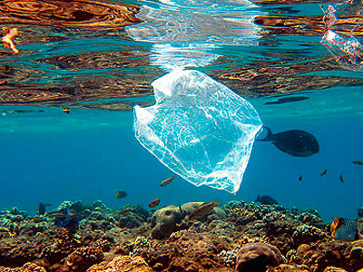 Oceanos em 2050 vão ter mais plástico do que peixes