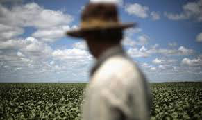 Saiba o que os candidatos propõem sobre reforma agrária Saiba o que os candidatos propõem sobre reforma agrária