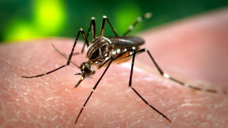 Governo dos Estados Unidos confirma três casos de Zika na Flórida