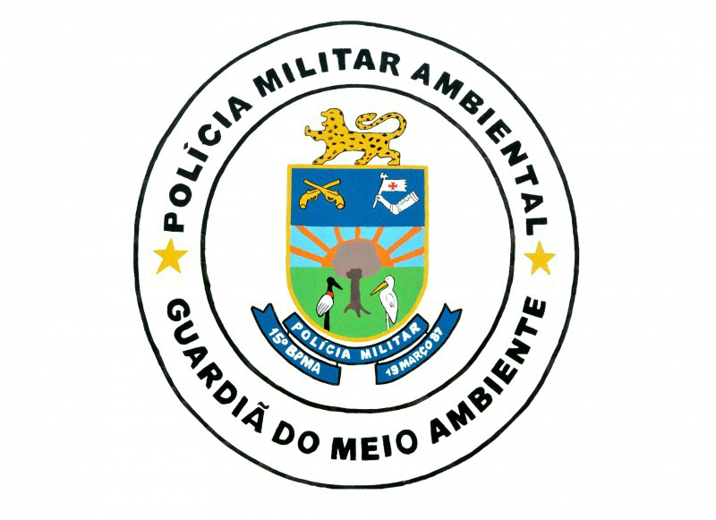 PMA autua proprietário rural por exploração ilegal de madeira PMA autua proprietário rural por exploração ilegal de madeira